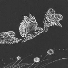 End Sheet Illustration