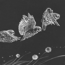 End Sheet Illustration